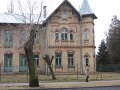 IMG_4511