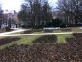 IMG_2774